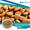 Manufacturer Price Organic Bitter Apricot Kernel Extract for Food